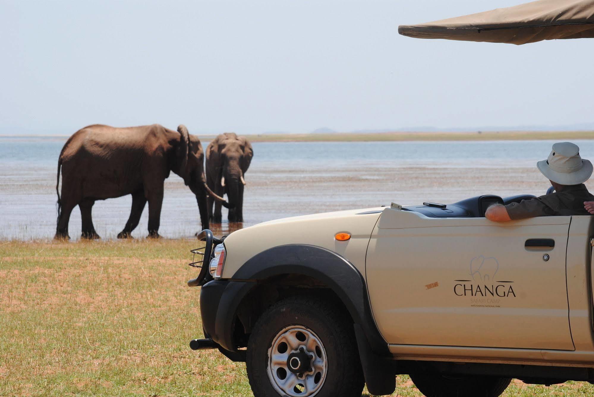 Changa Safari Camp Matusadona National Park Dış mekan fotoğraf