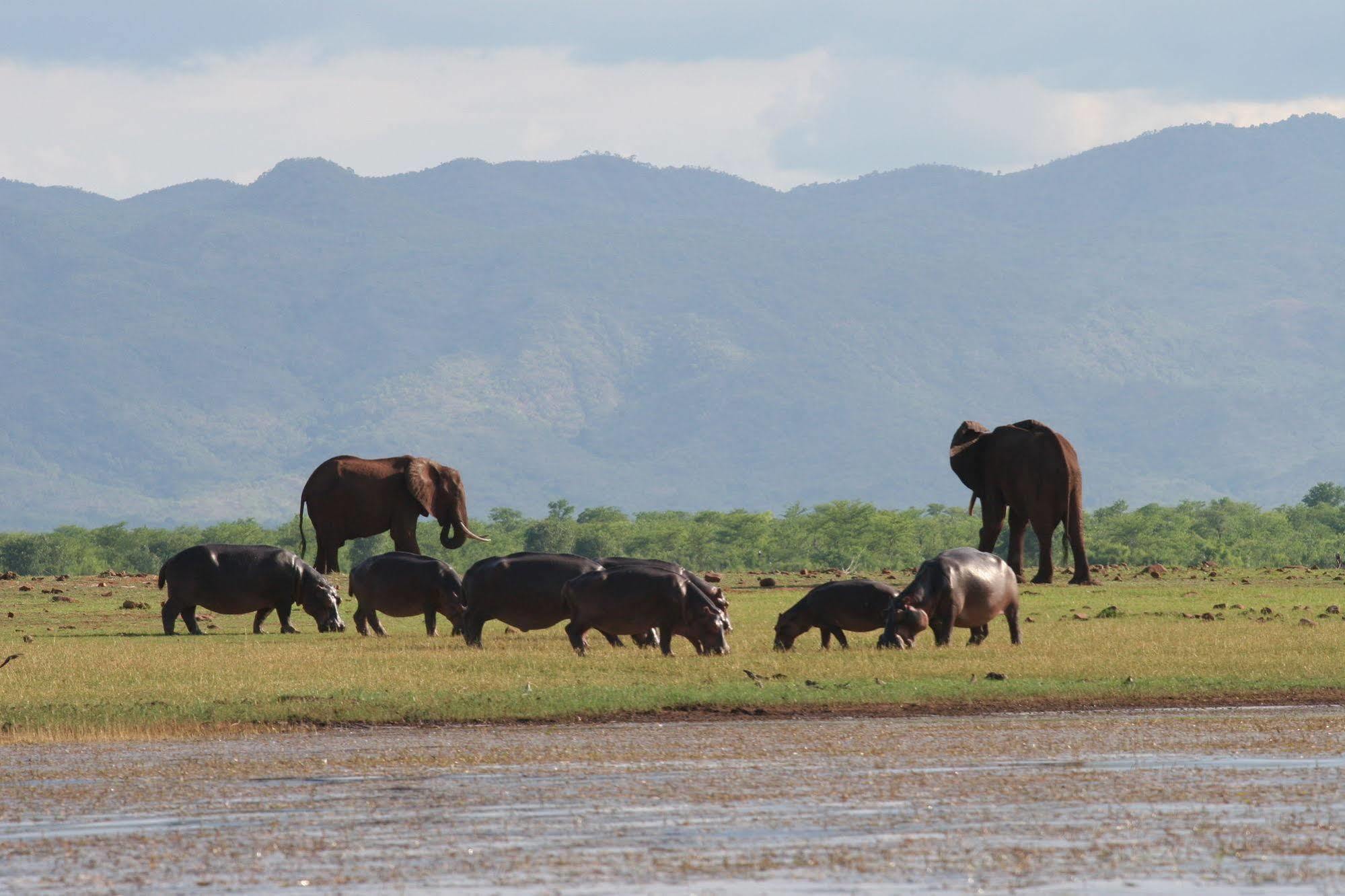 Changa Safari Camp Matusadona National Park Dış mekan fotoğraf